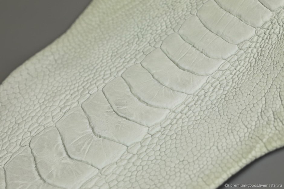 Ostrich Leather