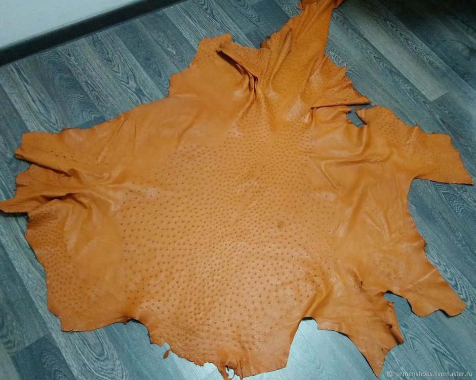 Кожа страуса текстура