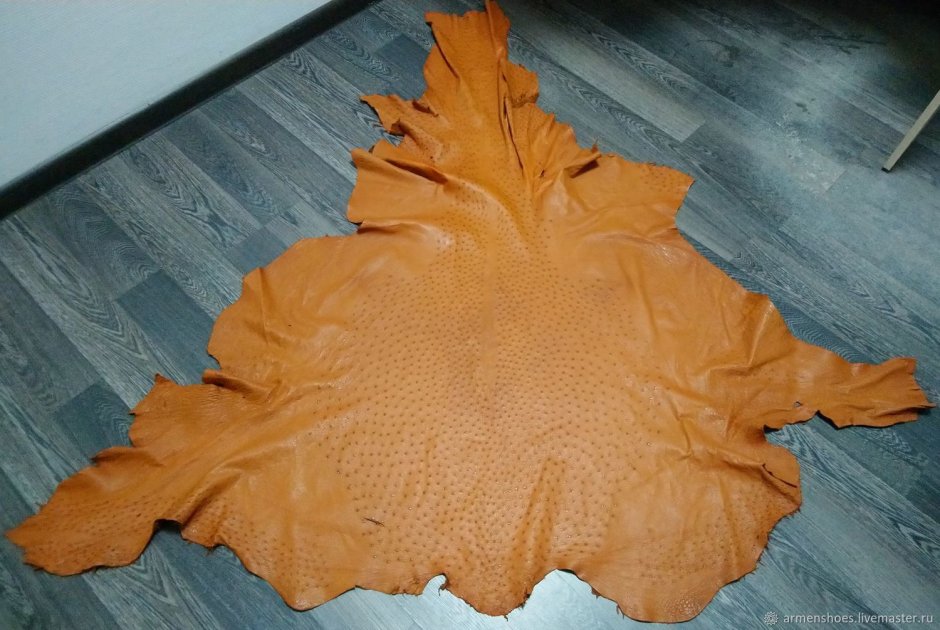 Куртка из кожи страуса