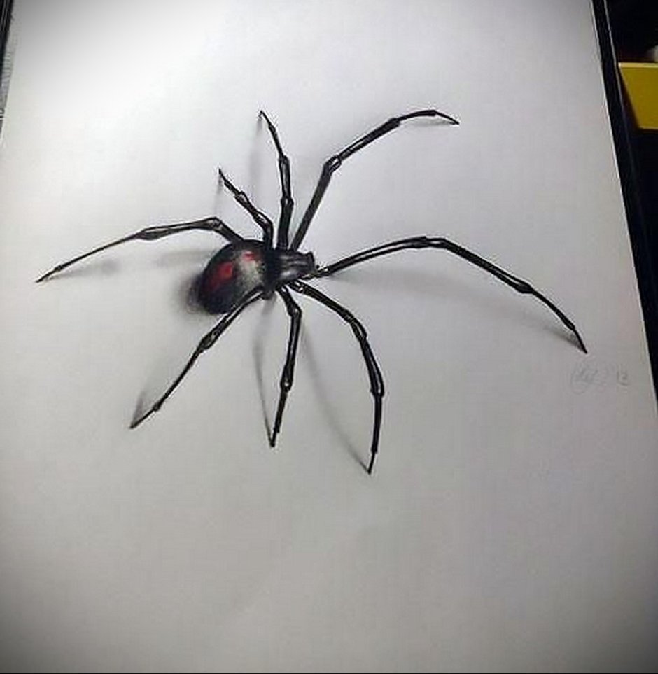 Гигантский паук