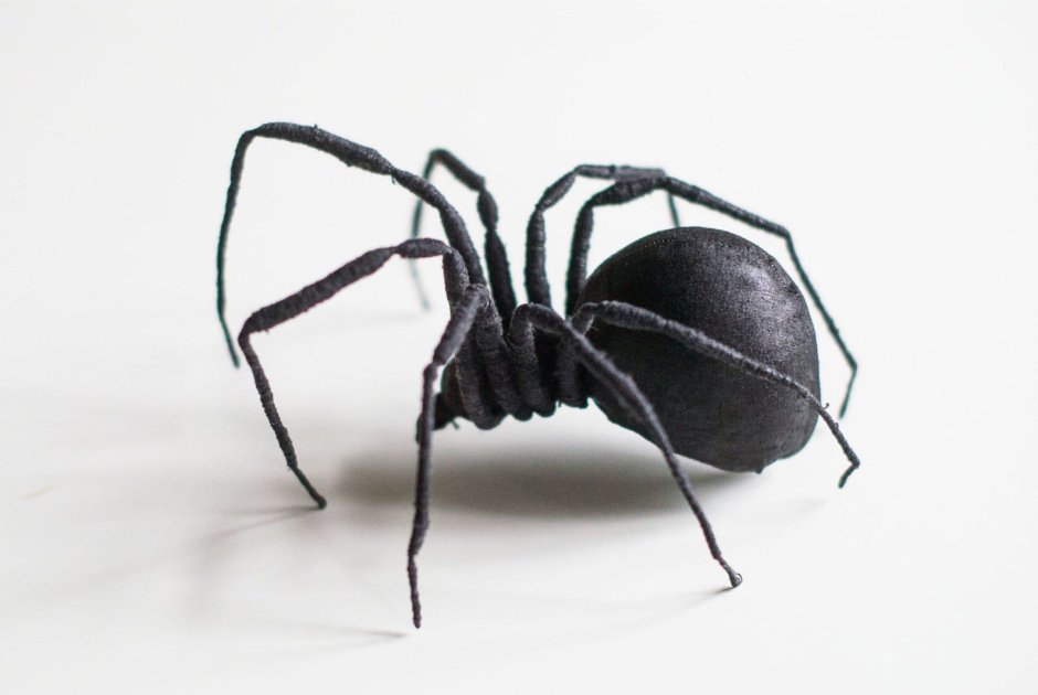 Аранеоморфные пауки