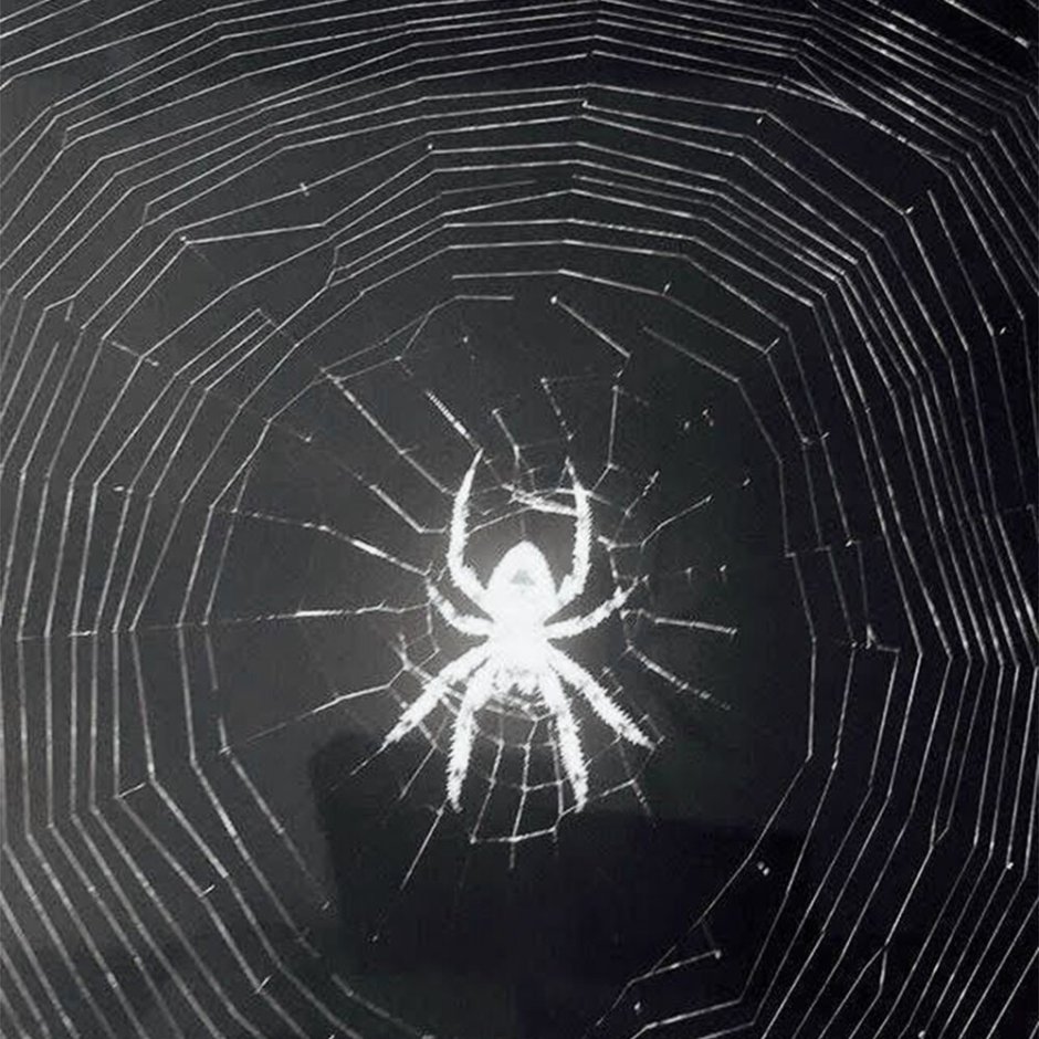 Арахна демон