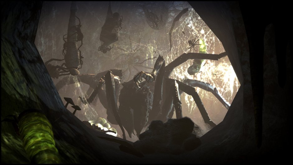 Воронковые пауки Нора