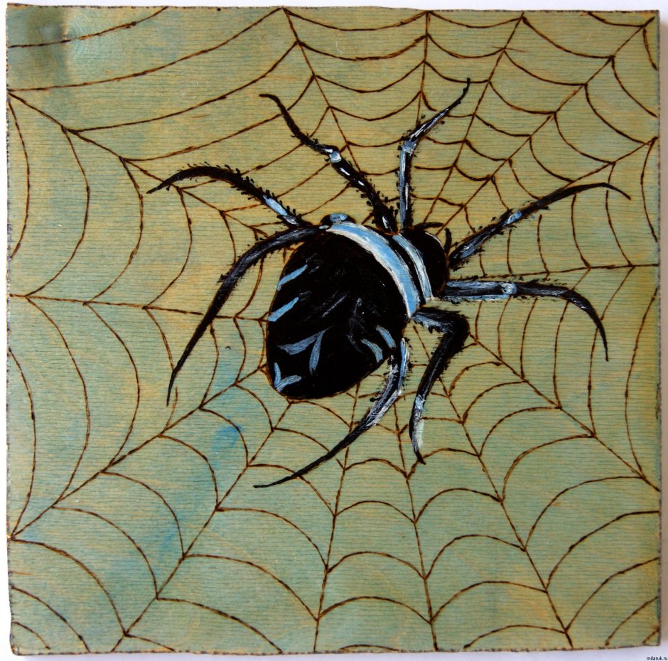Паук в графике