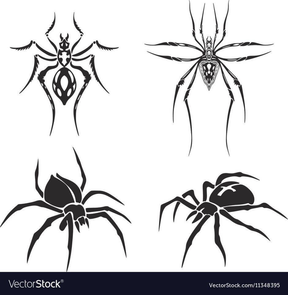 Джейба Фофи гигантский паук