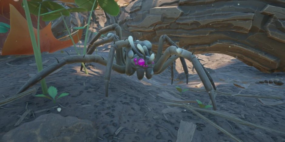 Черный Сибирский паук