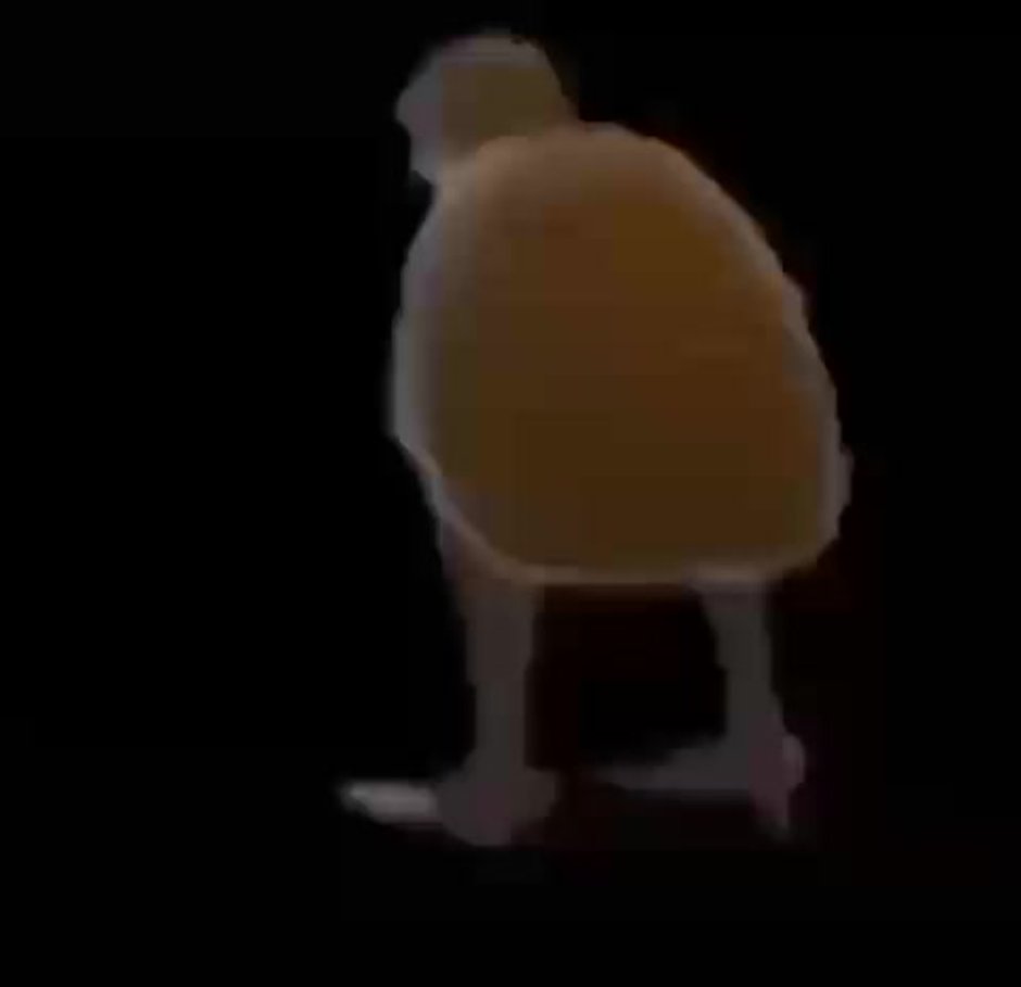 Лягушка Эстетика