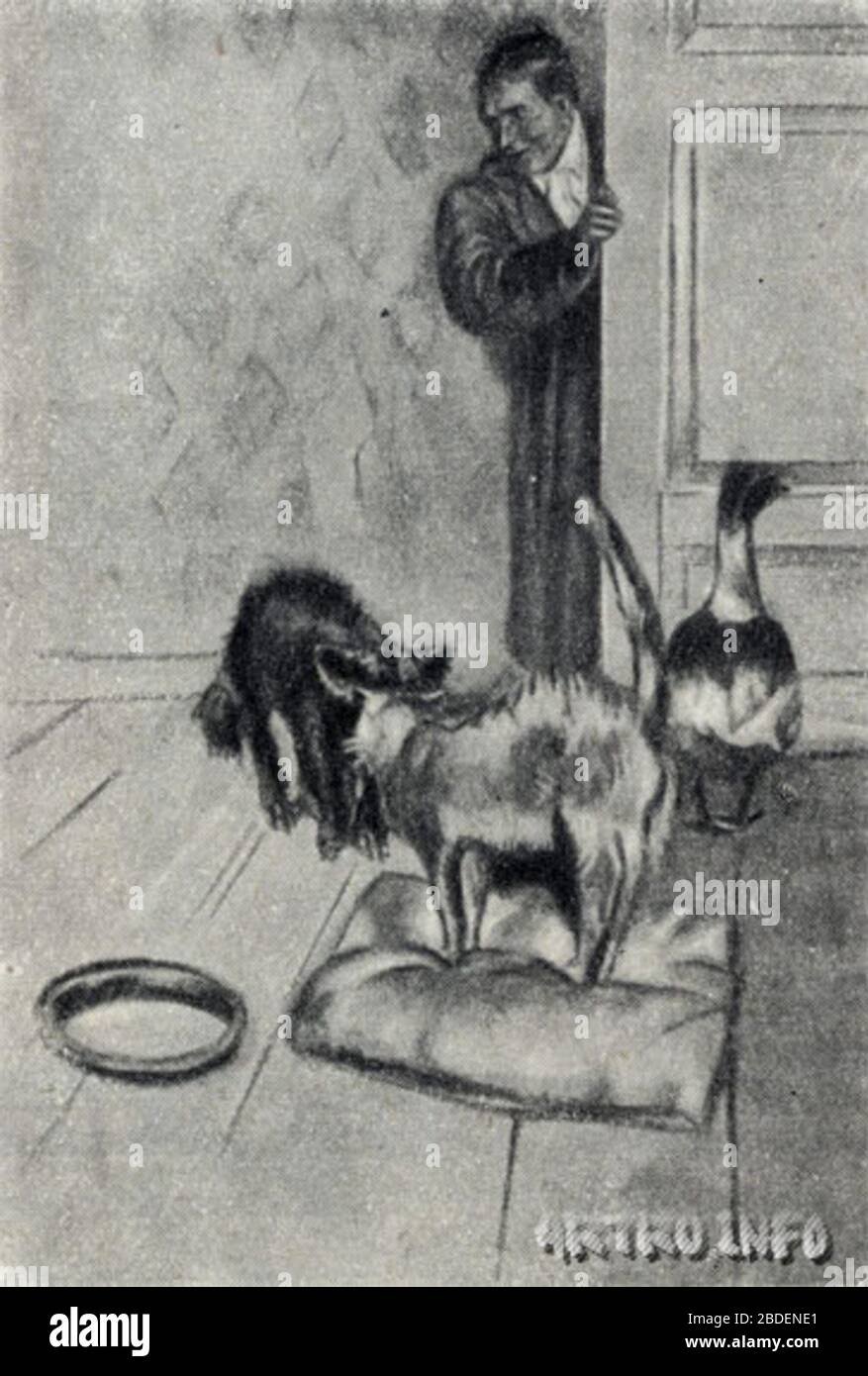 Приют собак Чебоксары собака каштанка