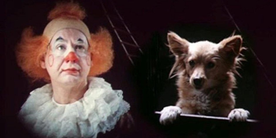 Каштанка читать