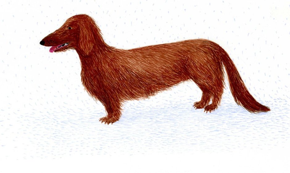 Чехов каштанка пирамида