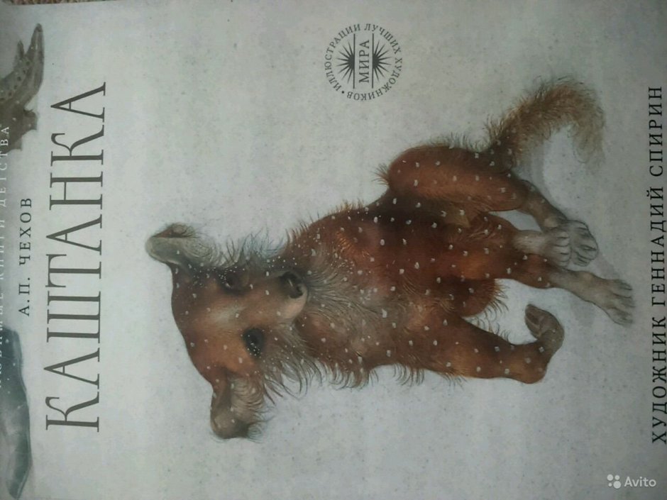 Иллюстрации а.п Чехова каштанка