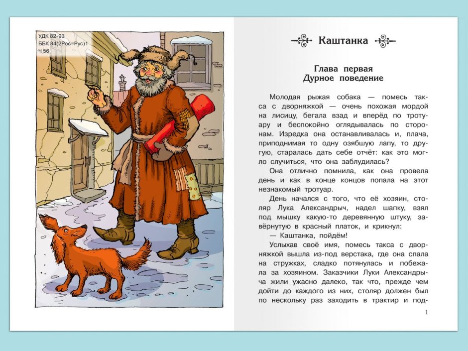 Колли порода собак