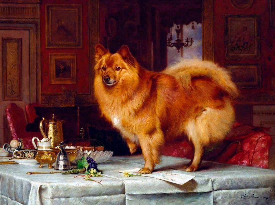 Королева Виктория и шпиц Марко