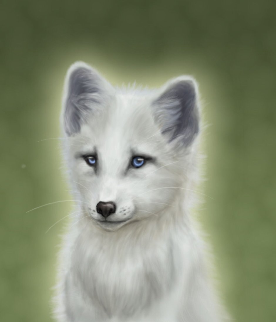 Arctic Wolf (Арктический волк)