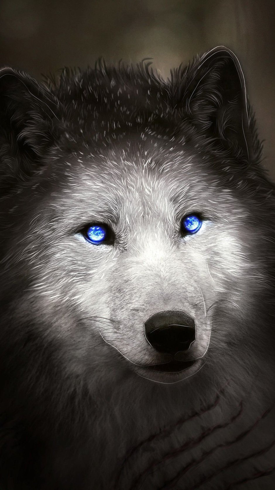 Canis Lupus tundrarum