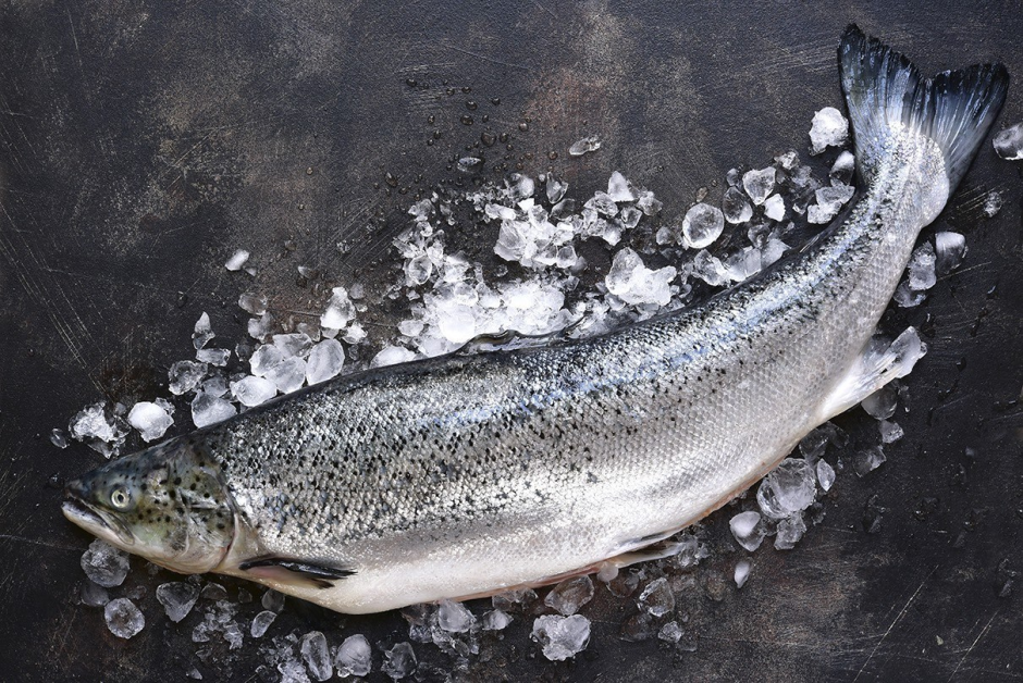 Salmon on Ice
