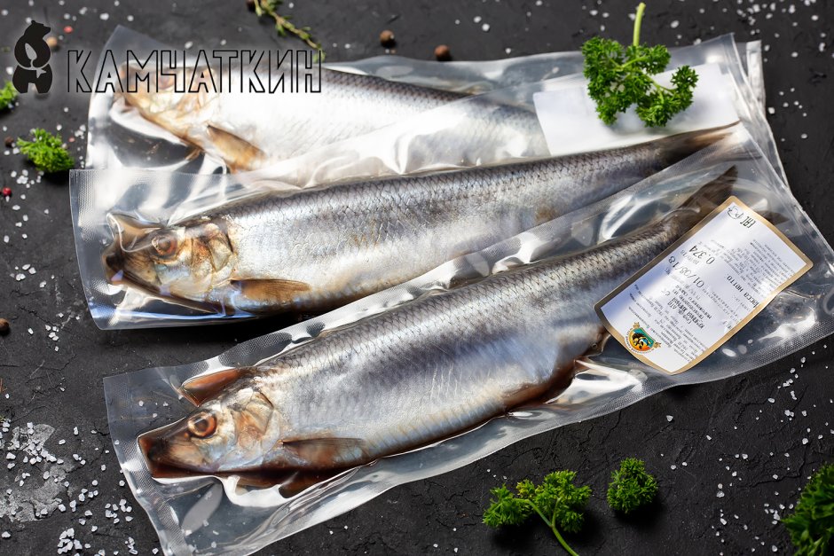 Нерест нерки на Камчатке