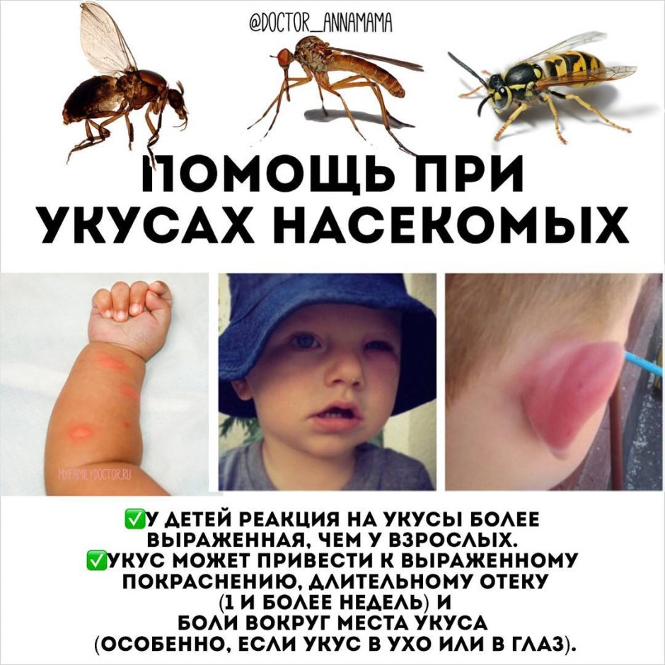 Моргенштерн слив 2021