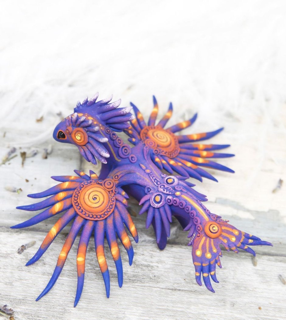 Glaucus Atlanticus строение