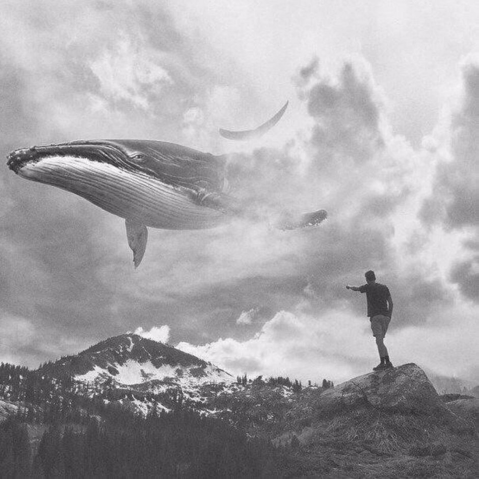 Blue Whale масштаб