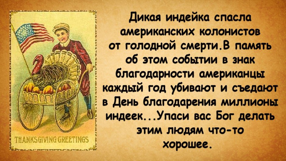 Квир курица Лола