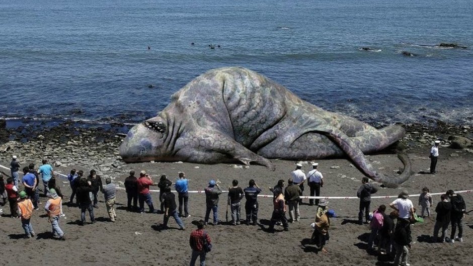 Топ-100 самых огромных монстров в море