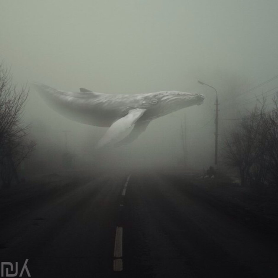 Moby dick белый кит