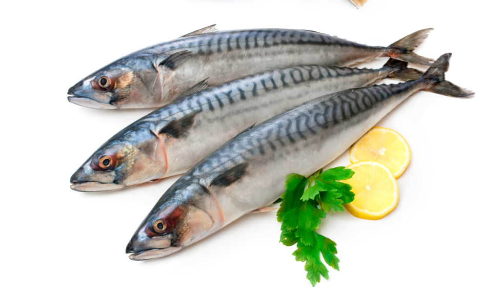Макрели (Scomber scombrus)