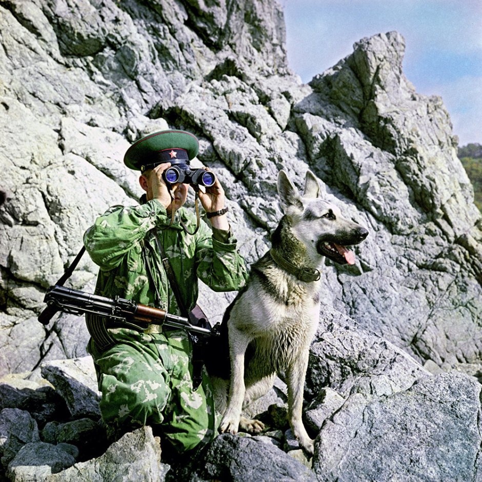 Пограничник с собакой
