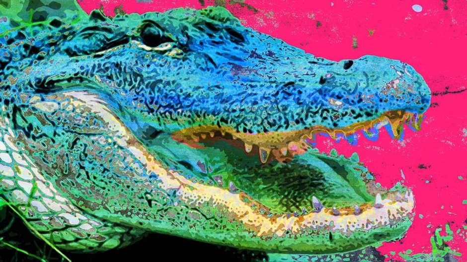 Crocodile jaws Clipart