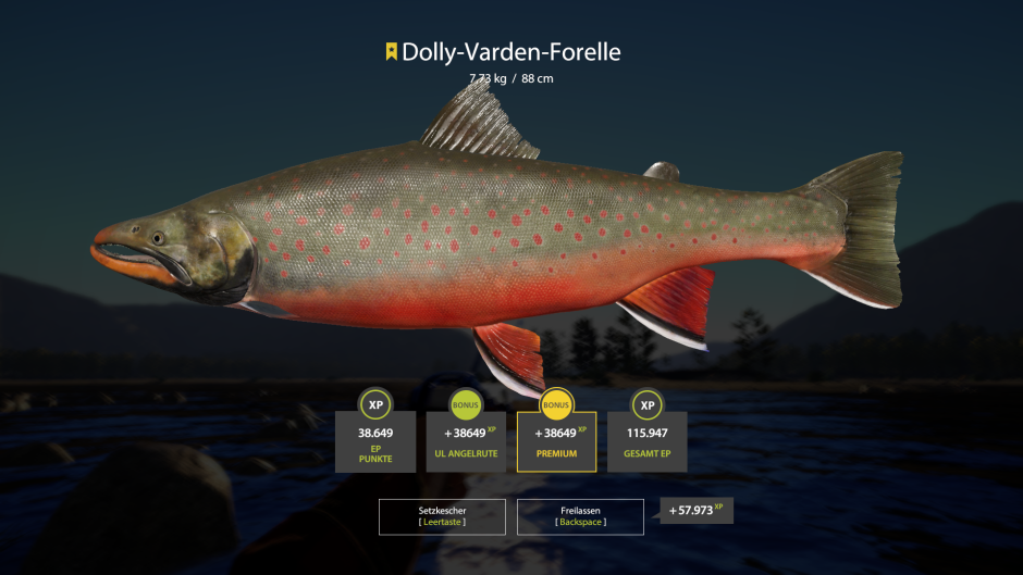 Кижуч красный