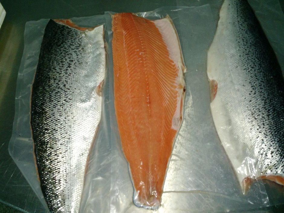 Форель голец кунджа