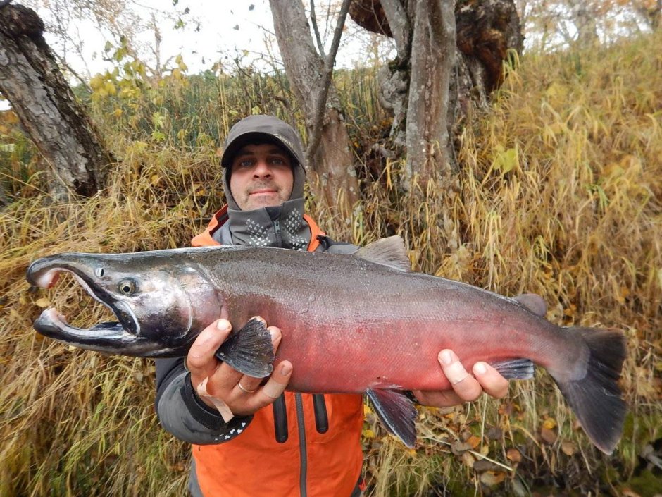 Теплоход кижуч Усть Цильма