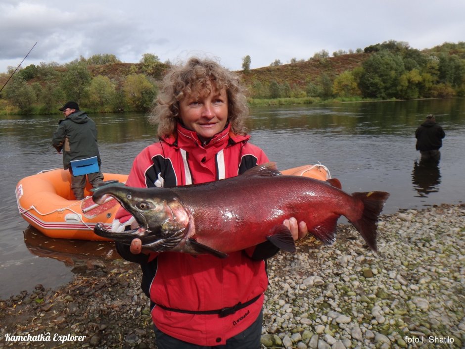Кижуч самец