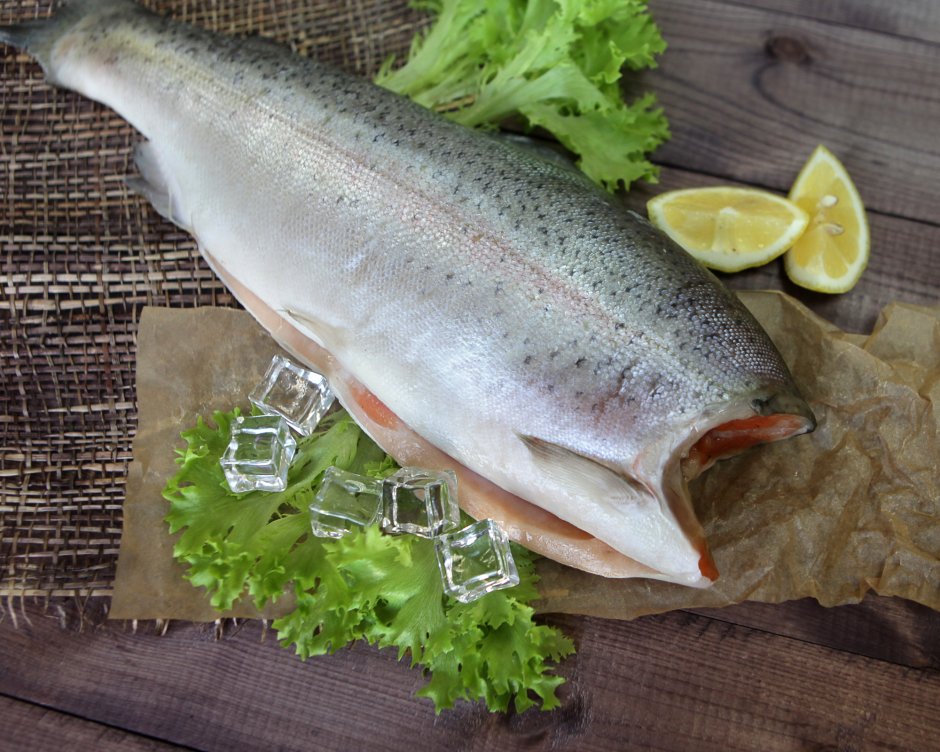 Кижуч рыба морда