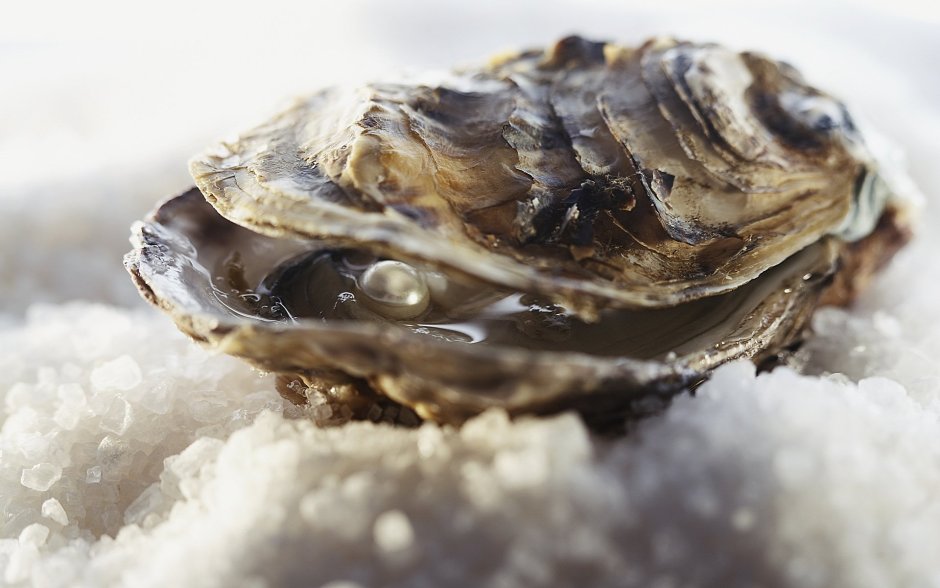 Европейская Жемчужница