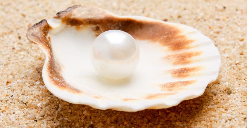 Ракушки жемчужницы морские