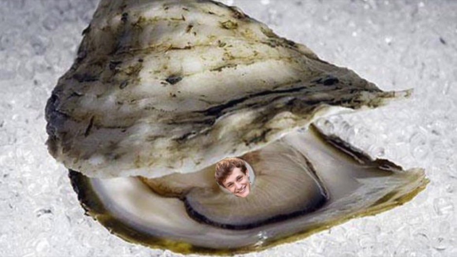 Беззубка моллюск жемчуг