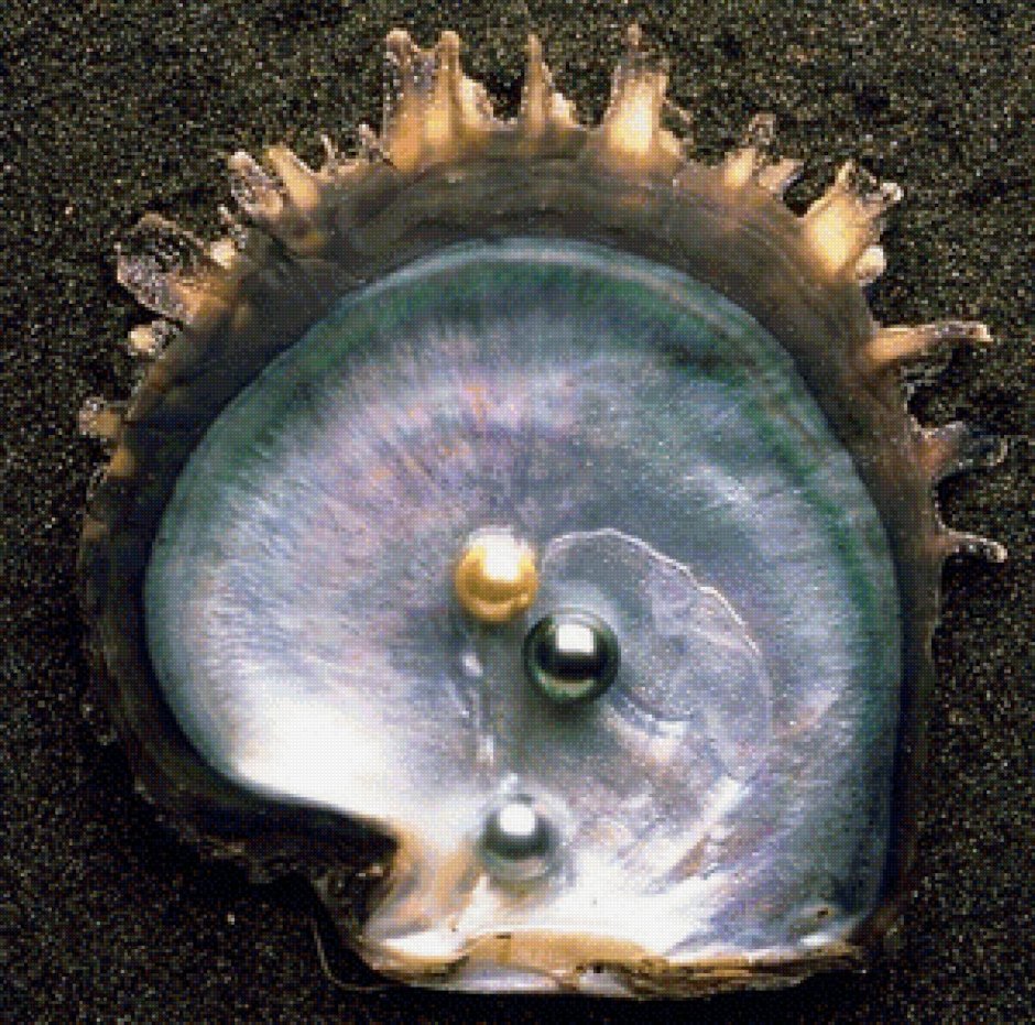 Жемчуг моллюска тридакны