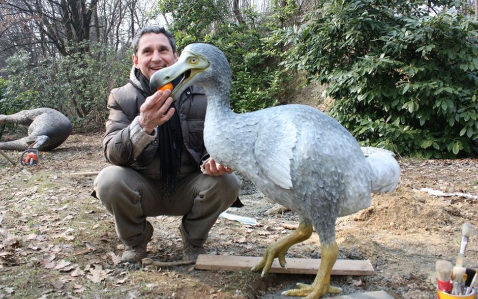 Дронт Эдвард