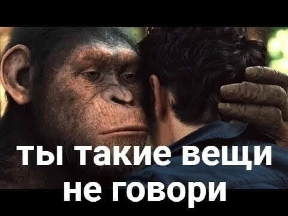 Самая громкая обезьяна