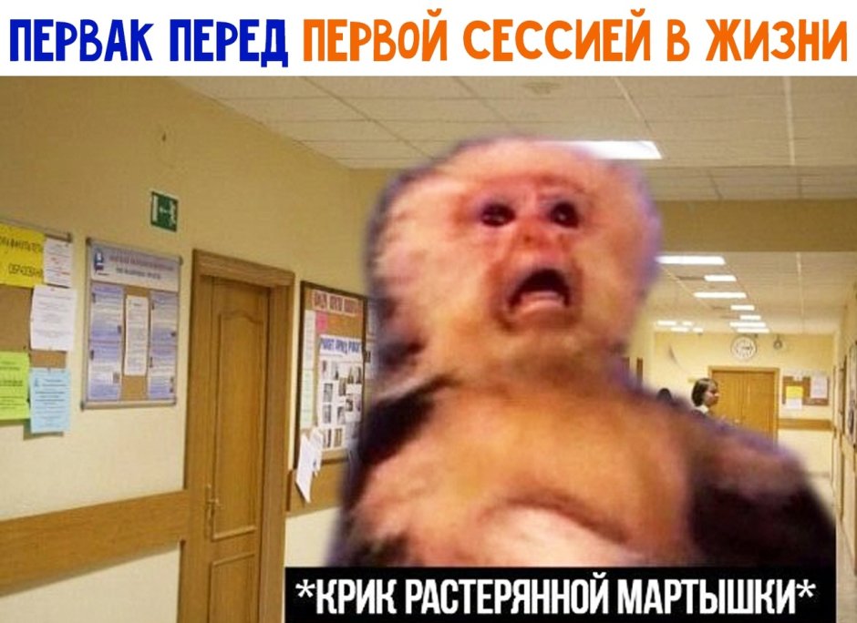 Крик растерянной мартышки Мем