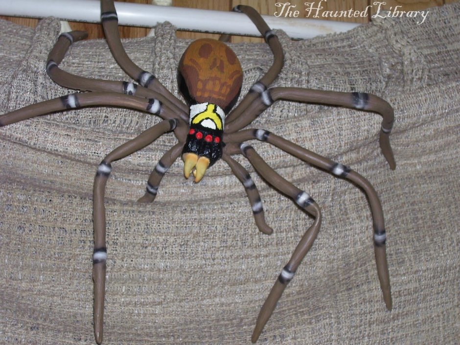 Паук с длинными лапами и клешнями