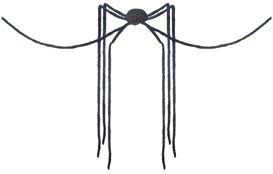 Паук с длинными лапами