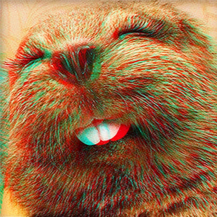 Лохматый Бобрик