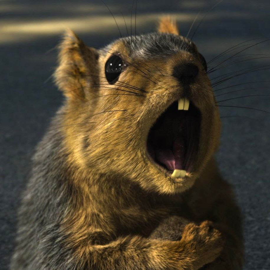 Фотограф Дик Ван Дуйн