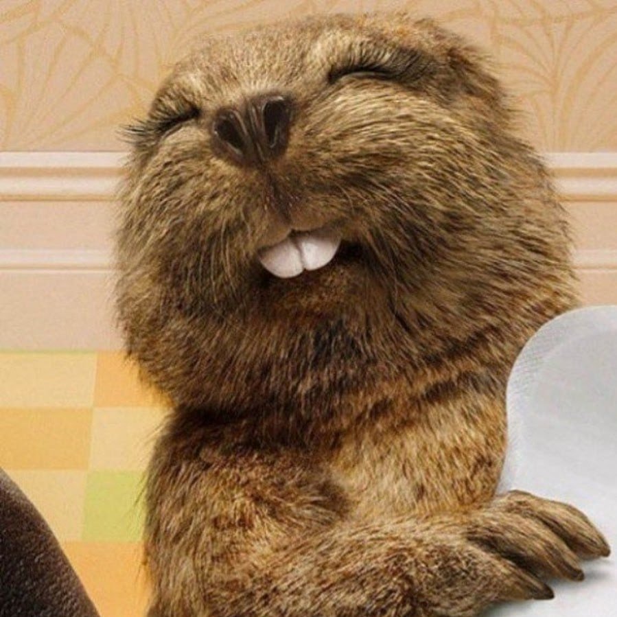 Суслик Гофер