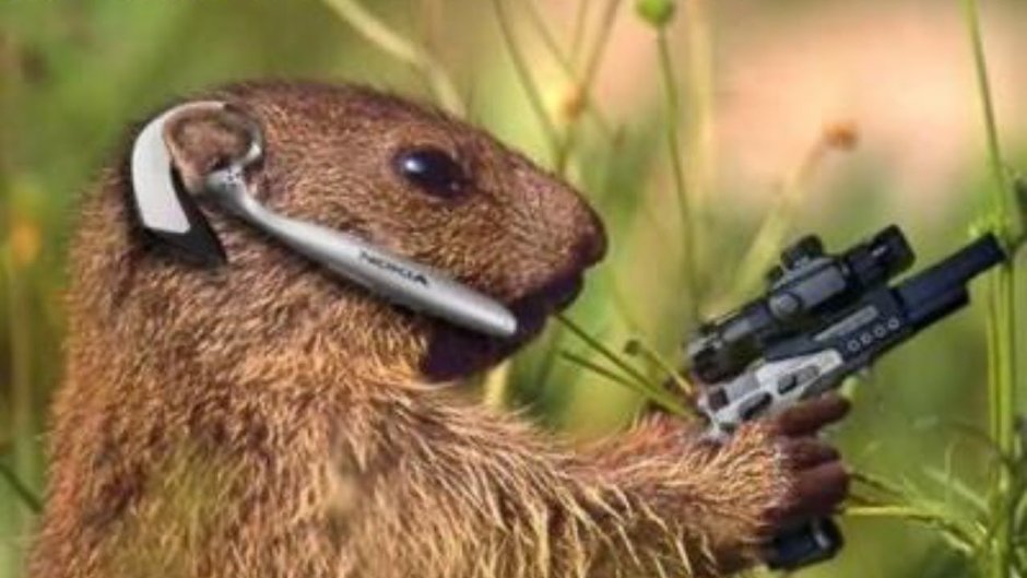 Суслик с цветком