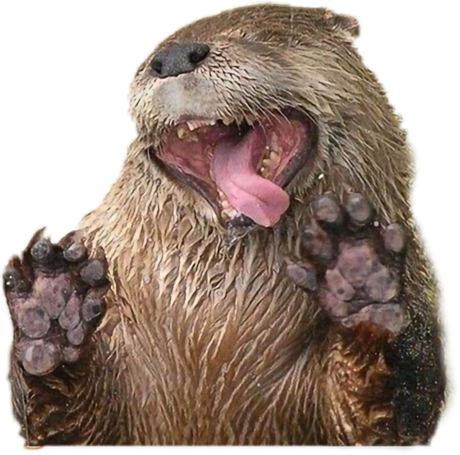 Орущая белка