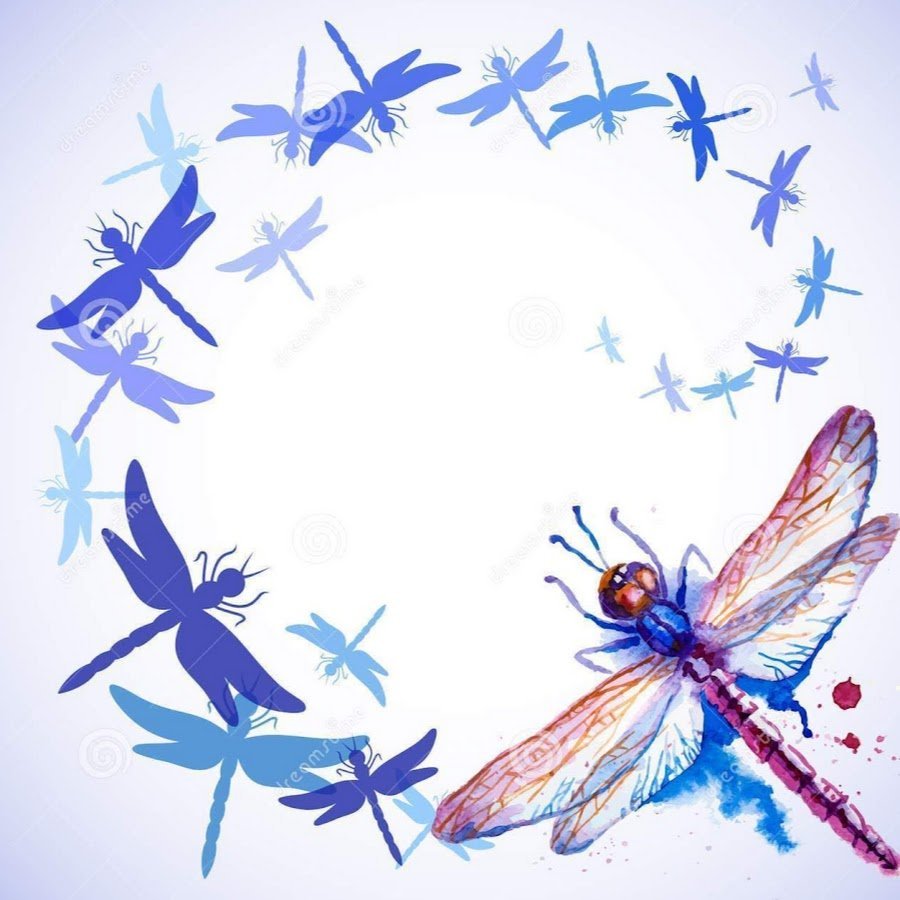 Стрекоза в рамке